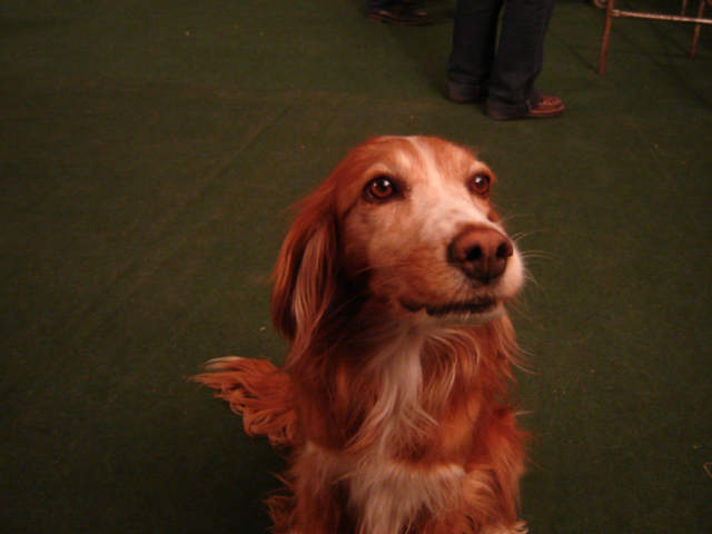 Sexta Compañía "Bomba La Reina"