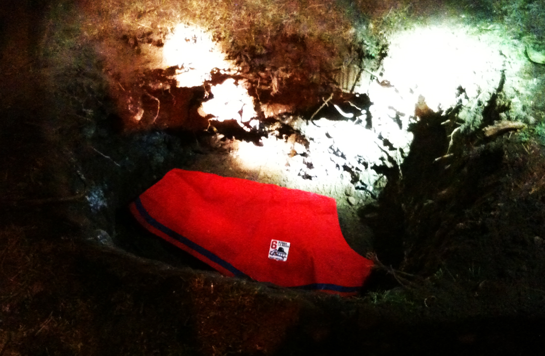 Sexta Compañía "Bomba La Reina"